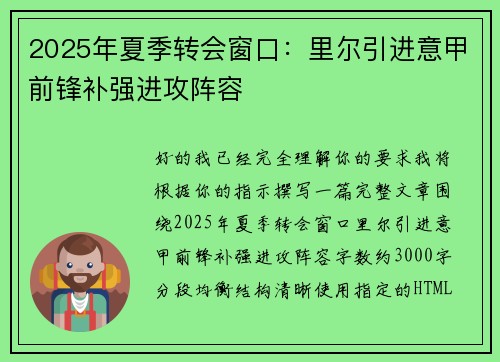 2025年夏季转会窗口：里尔引进意甲前锋补强进攻阵容